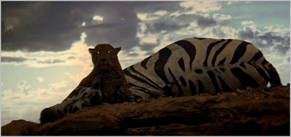 Image leopard